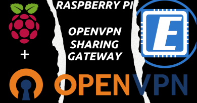 Raspberry Pi OpenVPN Gateway